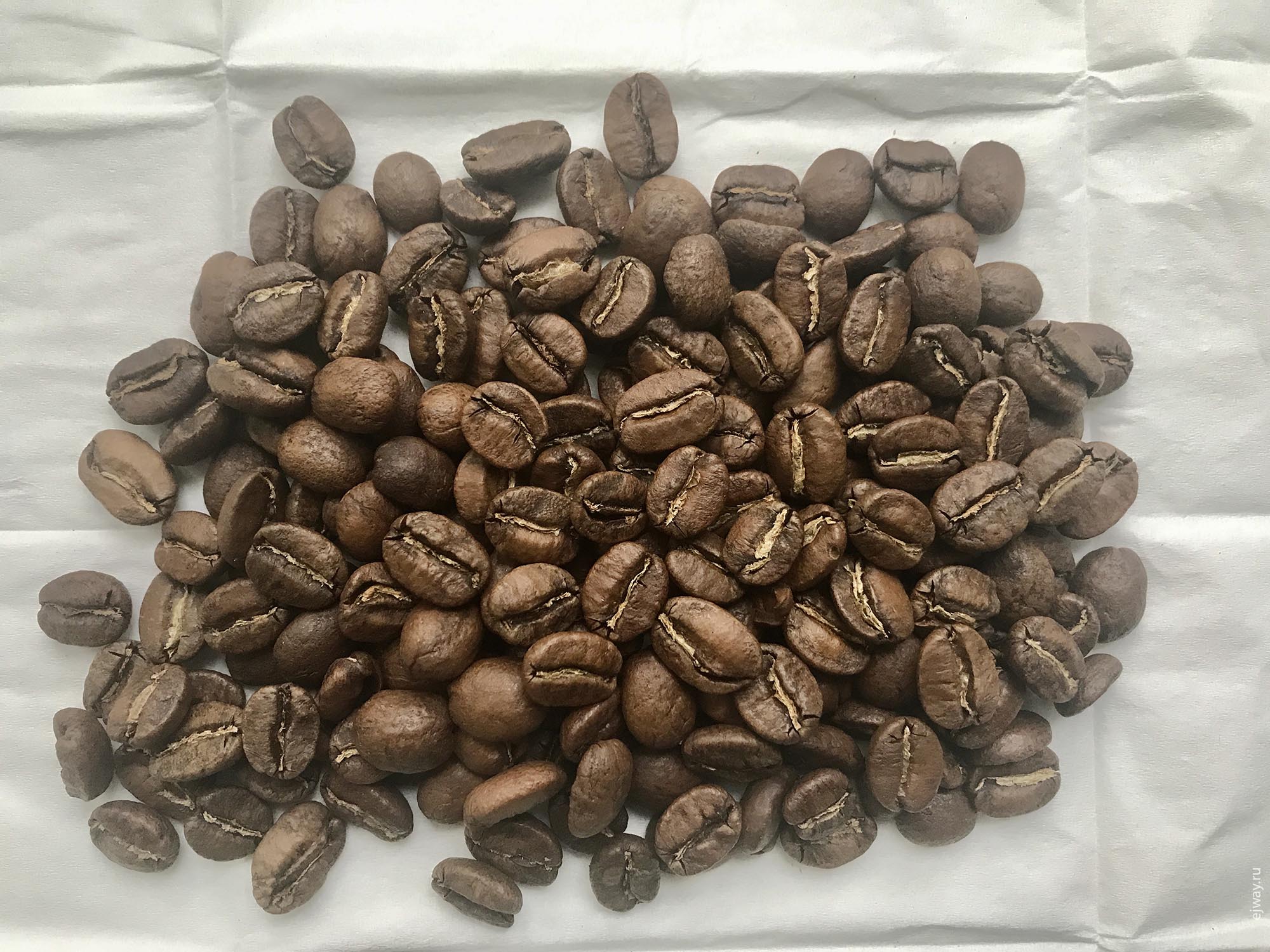 Россия, Мурманск, Surf Coffee. Colombia El Bandido, ejway.ru, зерна