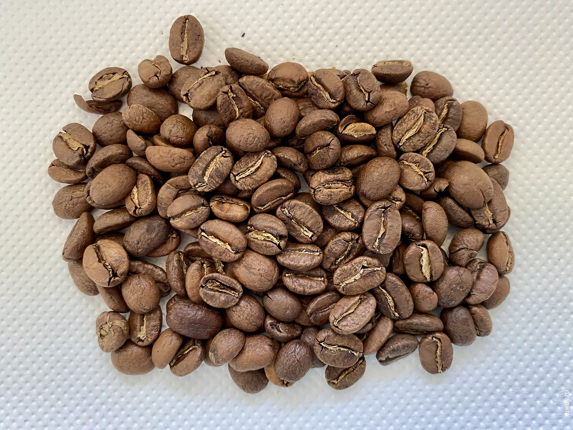 Черногория, Тиват, кофе, Colombia. Supremo. Kafeterija ejway.ru, зерна