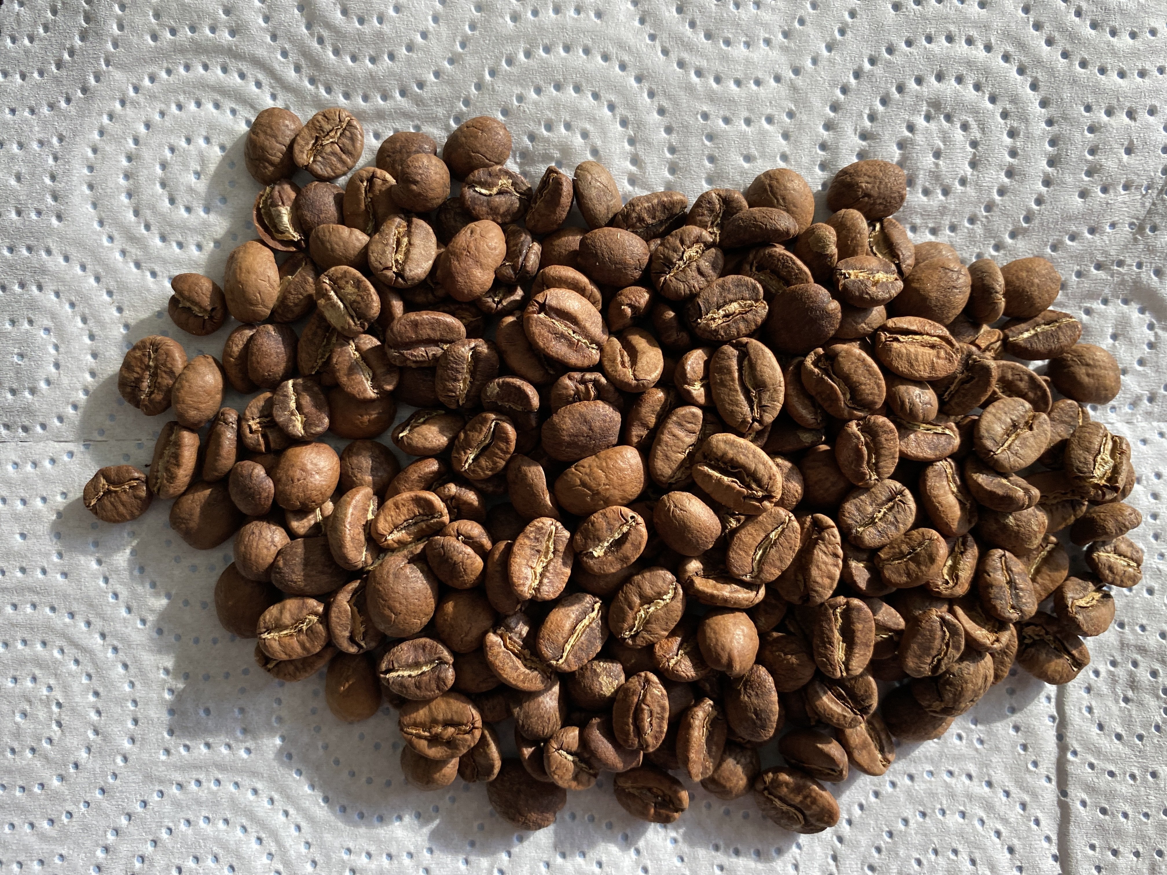 зерна, Kenya. Ruiru 11. Senzu Coffee Roasters