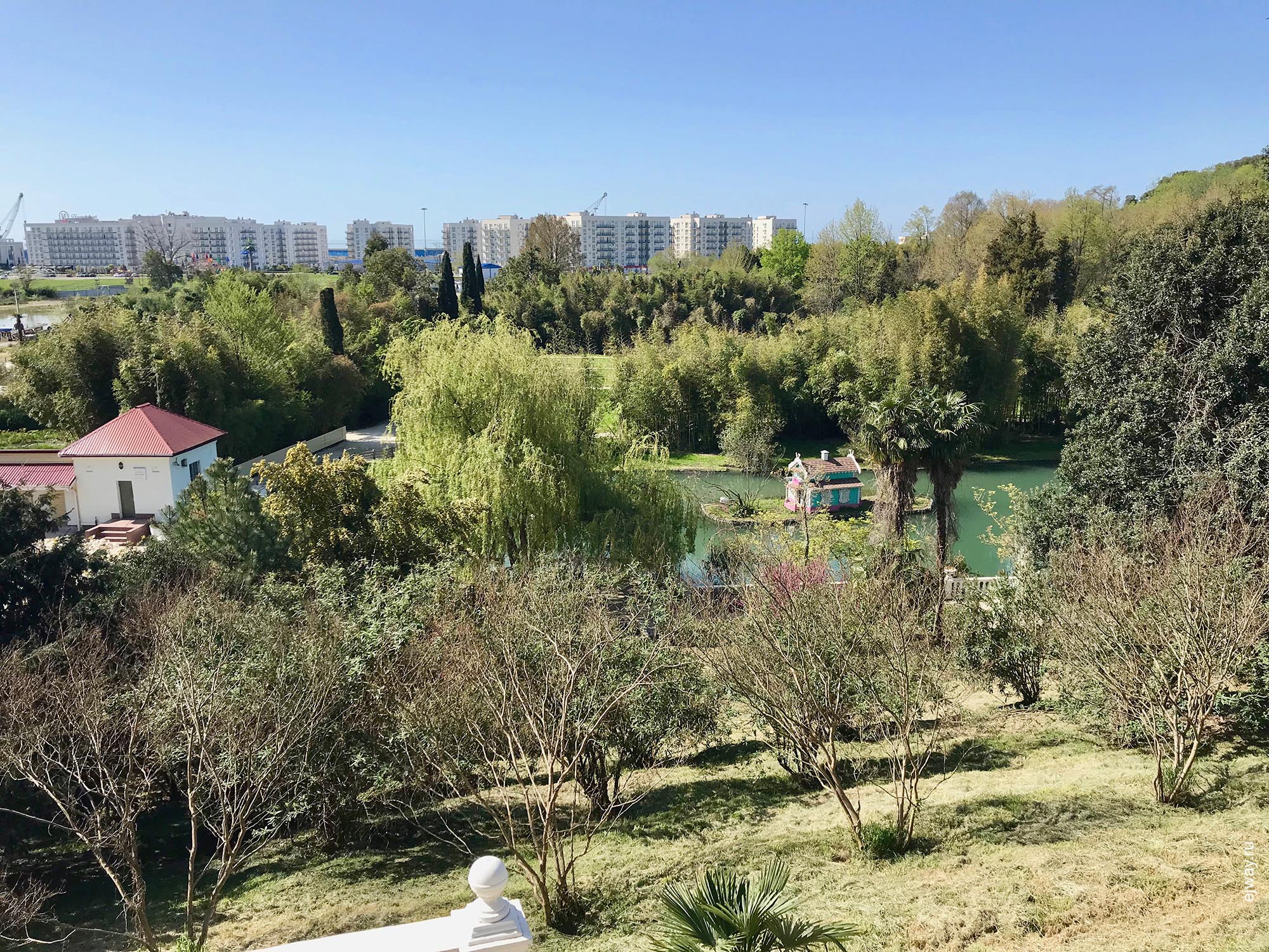 Россия, Адлер, Парк «Южные культуры», ejway.ru, парк, дендрарий