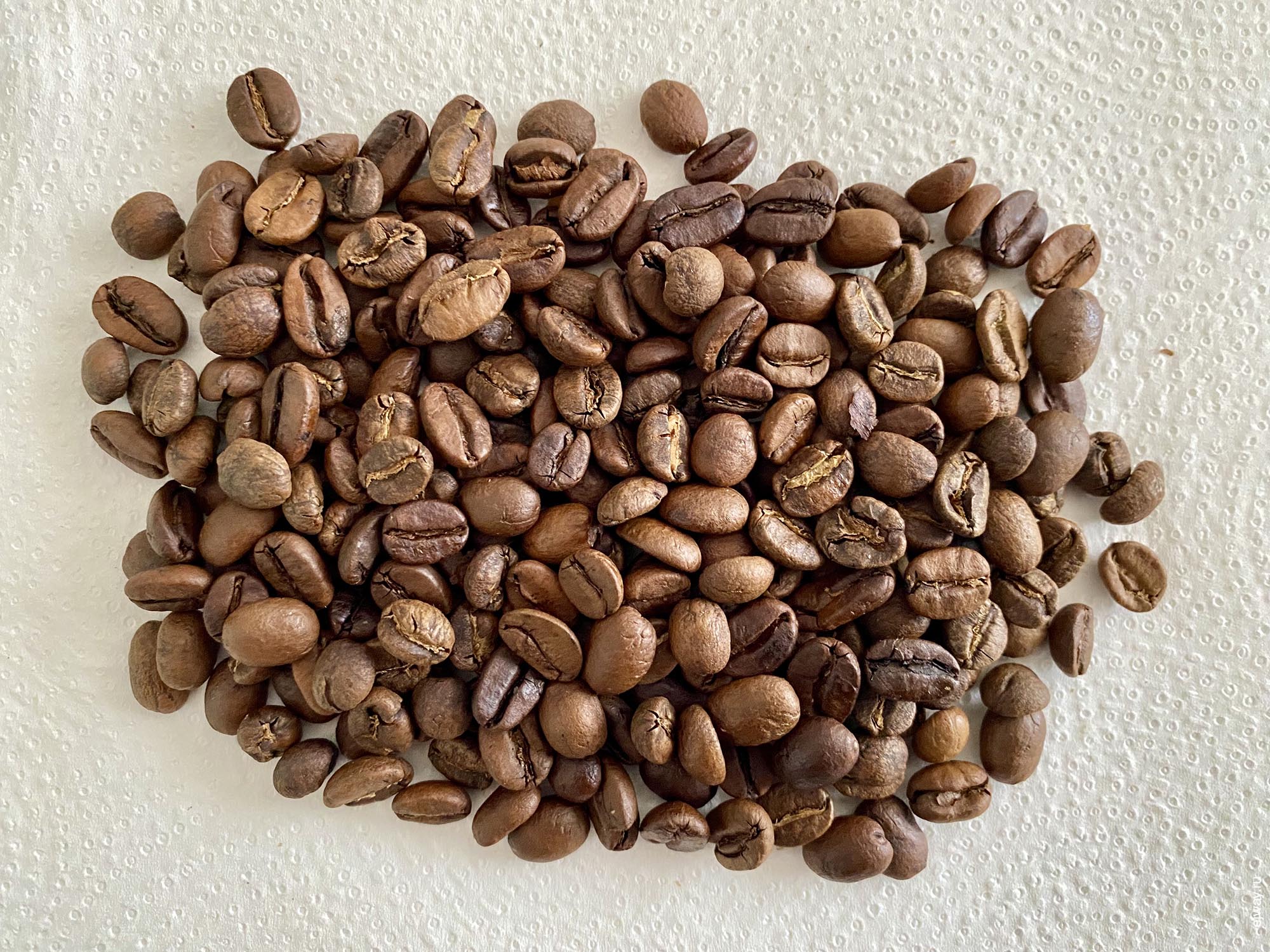 Испания, Пальма, Blend. Noti coffee roasters, зерна