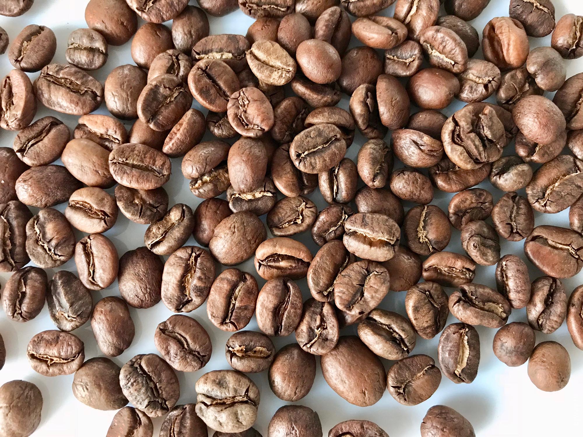 Красная поляна, Costa rica. Tarrazu tucan, ejway.ru, зерна